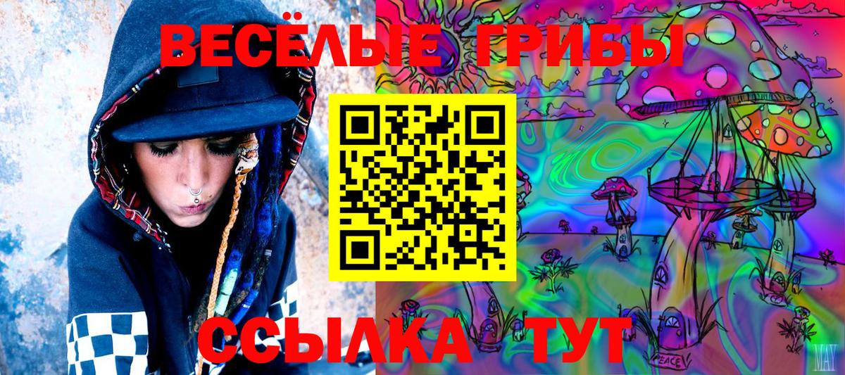 Псилоцибиновые грибы Psilocybe  Вход с VPN  Канск 